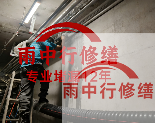 铜陵电缆线空洞堵漏加固案例