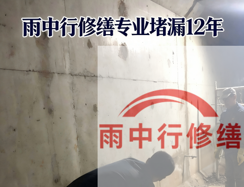 铜陵某商场电梯井堵漏案例