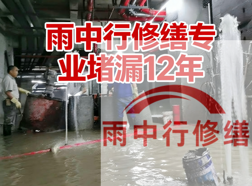 铜陵中国五矿某大型污水处理厂堵漏案例